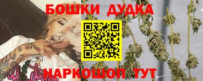 PSILOCYBIN Бугуруслан