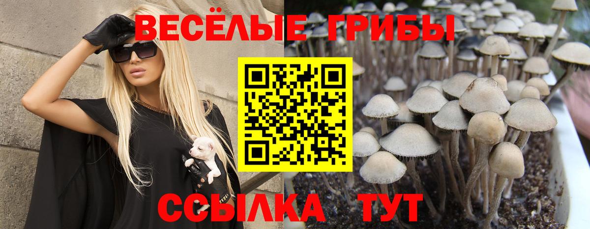 Галлюциногенные грибы ЛСД  Вход с VPN  купить   Заринск 