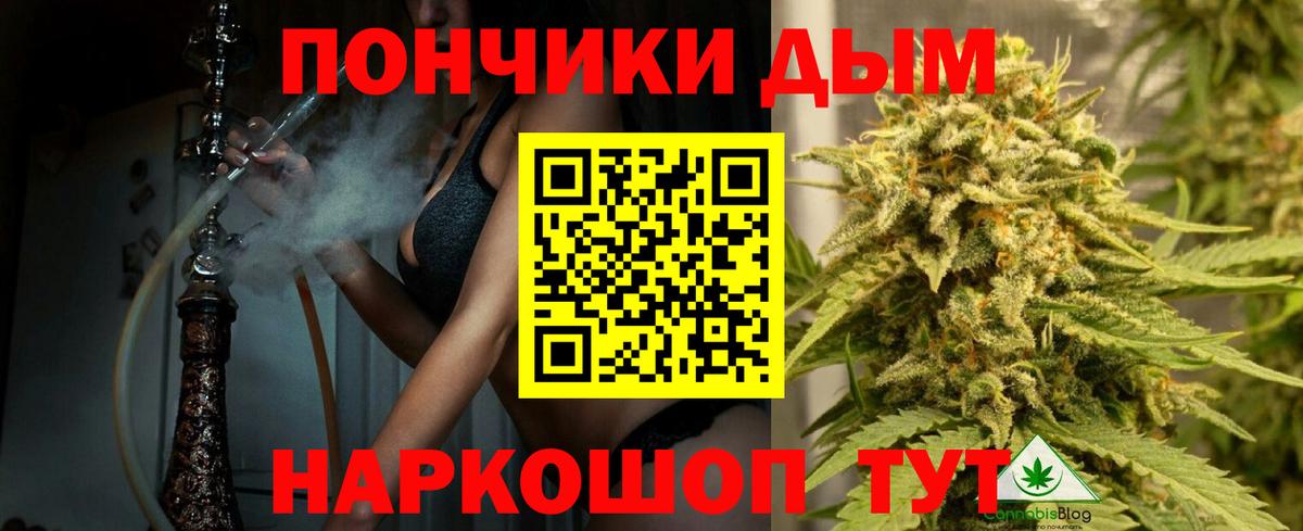 Канабис SATIVA & INDICA Заринск